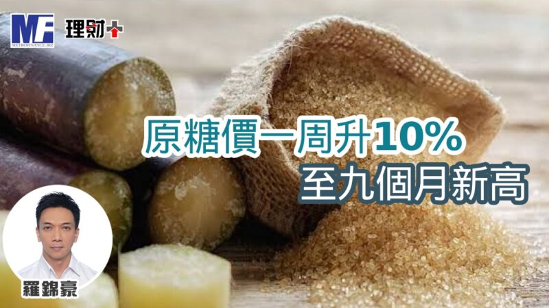t20260811